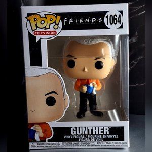 "GUNTHER" FRIENDS TV Show Collectable Vinyl Figure